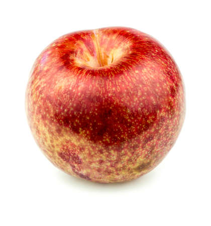Pluot fruit isolatedの写真素材