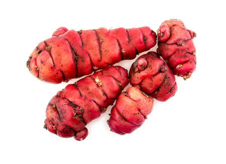 Group of new zealand pink oca yams studio isolatedの写真素材