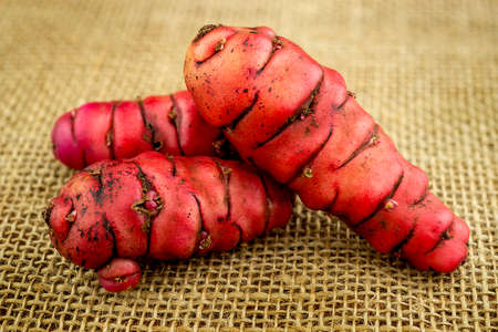 Pink oca new zealand yams closup macro on hessian backgroundの写真素材