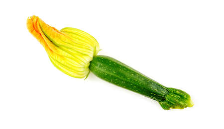 Macro closeup of zucchini flowerの写真素材
