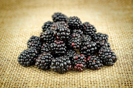 Closeup of pile of blackberries with shallow depth of fieldの写真素材