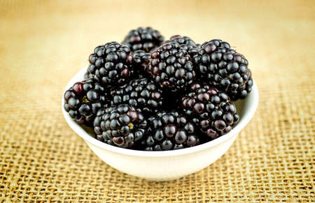 Bowl of ripe blackberry berries