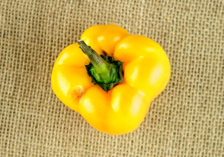 Juicy ripe yellow bell pepper on rustic hessianの写真素材