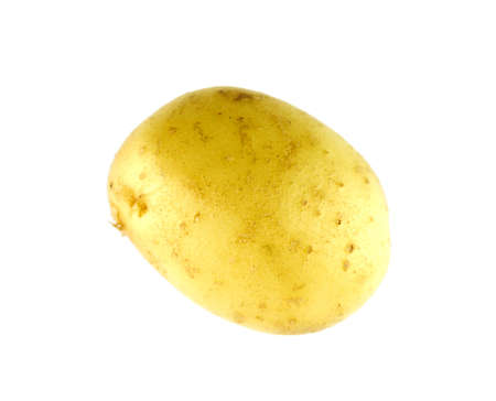 Yellow potato isolated on whiteの写真素材