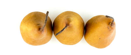 Aerial view of three bosc pears with long stemsの写真素材
