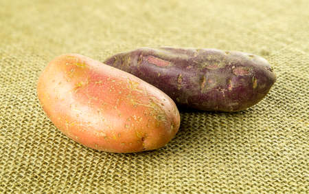 Nutritious pontiac and purple sweet potato with shallow depth of fieldの写真素材