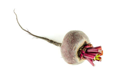 Single beetroot bulb isolated on whiteの写真素材