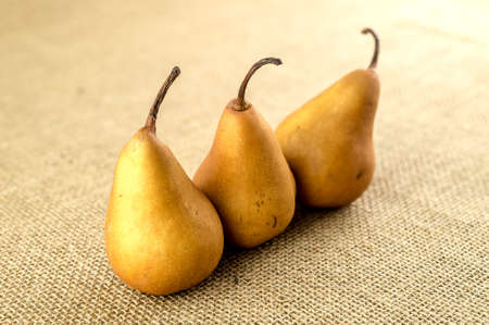 Uncooked baking pears sitting in a rowの写真素材