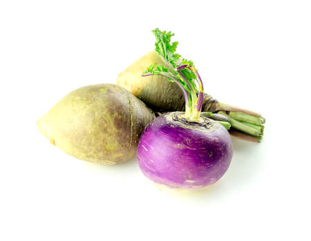 Purple turnip and two swedish turnips on whiteの写真素材