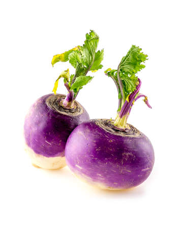 Two purple turnips with leafy tops isolated on whiteの写真素材
