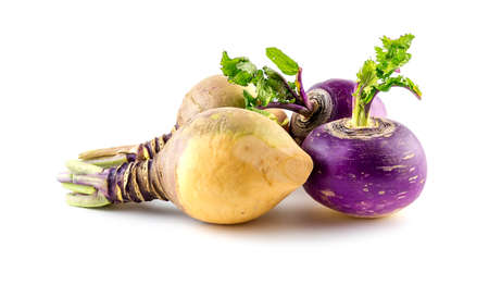 Freshly harvested turnips and swede produceの写真素材