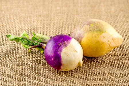 Turnip and swede against hessianの写真素材