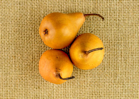 Aerial view of three golden brown pearsの写真素材