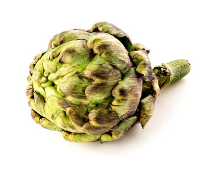 Macro of mature artichoke studio isolatedの写真素材