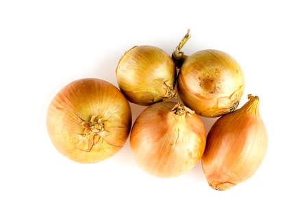 Golden orange colored onions isolated on whiteの写真素材