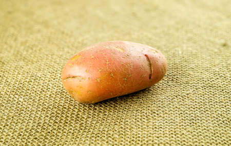 Red pontiac potato on hessian backgroundの写真素材