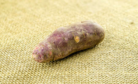 Uncooked purple skinned sweet potatoの写真素材
