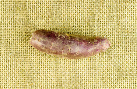 Aerial view of purple sweet potatoの写真素材