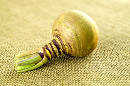 Macro of swedish turnip with green stalksの写真素材