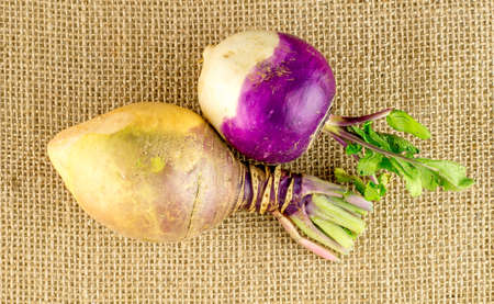 Aerial view of raw swede and turnipの写真素材