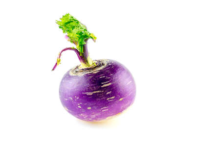 Bulbous shaped purple turnip on whiteの写真素材