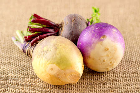 Three types of taproot brassica vegetablesの写真素材