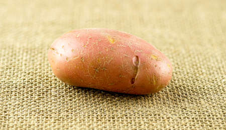 Closeup of wholesome red potato on country style textured backgroundの写真素材