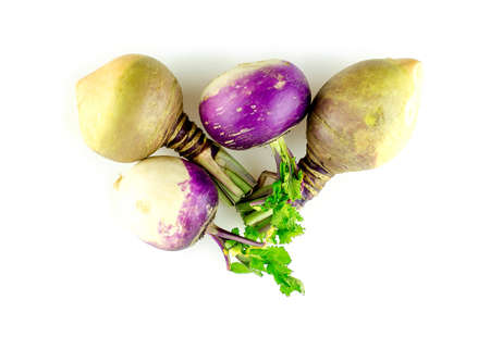 Swedish turnips and purple turnip edible root plants isolated on whiteの写真素材