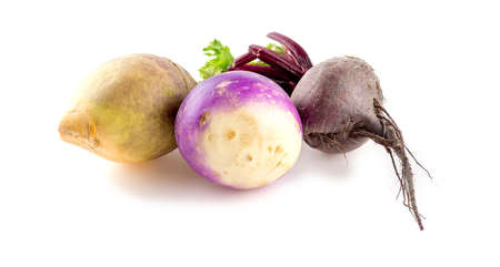 Different types of bulbous taproot vegetables isolated on whiteの写真素材