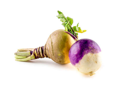 Scrumptious fresh swede and organic turnip vegetablesの写真素材