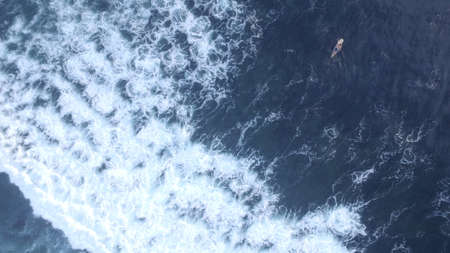 Surfer and wave, aerial viewの写真素材