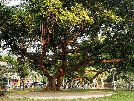 park near grand palace in Bangkokのeditorial素材