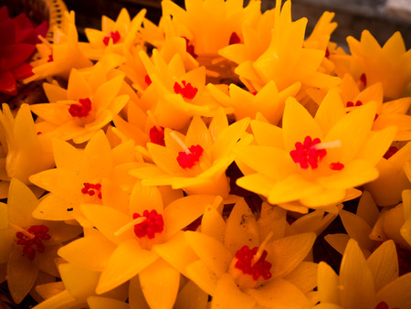 Lotus candle in a temple of Thailand.の写真素材
