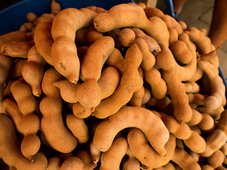 a lot of tamarind for saleの写真素材
