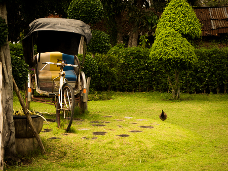 Tricycle thai style, a man powered mode of transportの写真素材