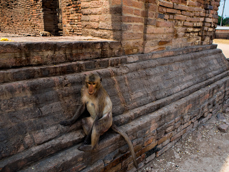 Phra Prang Sam Yot, the Khmer temple in Lopburi, Thailand.