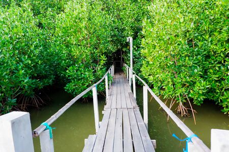 Bang Khun Thian sea view, Bangkok, Thailand.の写真素材