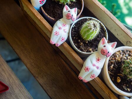 cute cat statue with cactus.の写真素材