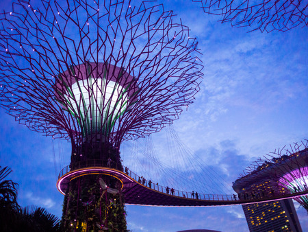 Gardens by the Bay, Singapore SEP 2017.のeditorial素材