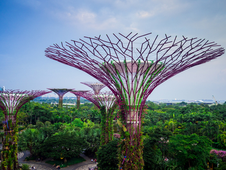 Gardens by the Bay, Singapore SEP 2017.のeditorial素材