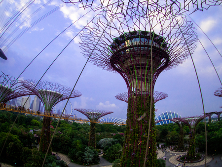 Gardens by the Bay, Singapore SEP 2017.のeditorial素材