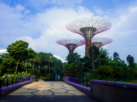 Gardens by the Bay, Singapore SEP 2017.のeditorial素材