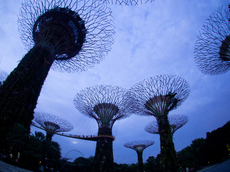 Gardens by the Bay, Singapore SEP 2017.のeditorial素材