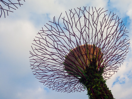 Gardens by the Bay, Singapore SEP 2017.のeditorial素材