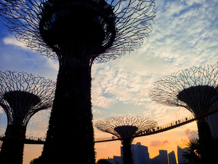 Gardens by the Bay, Singapore SEP 2017.のeditorial素材