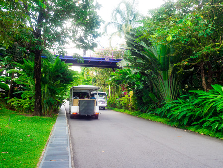 Gardens by the Bay, Singapore SEP 2017.のeditorial素材