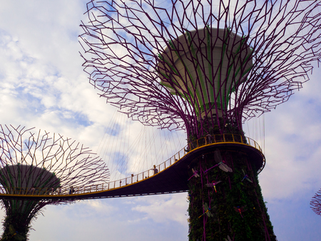 Gardens by the Bay, Singapore SEP 2017.のeditorial素材