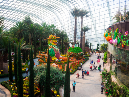 Gardens by the Bay, Singapore SEP 2017.のeditorial素材