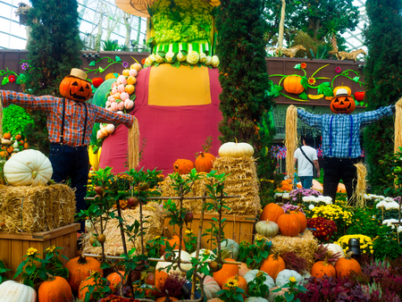 Gardens by the Bay, Singapore SEP 2017.のeditorial素材