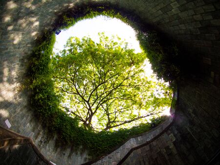 Fort Canning Park, Singapore.の写真素材